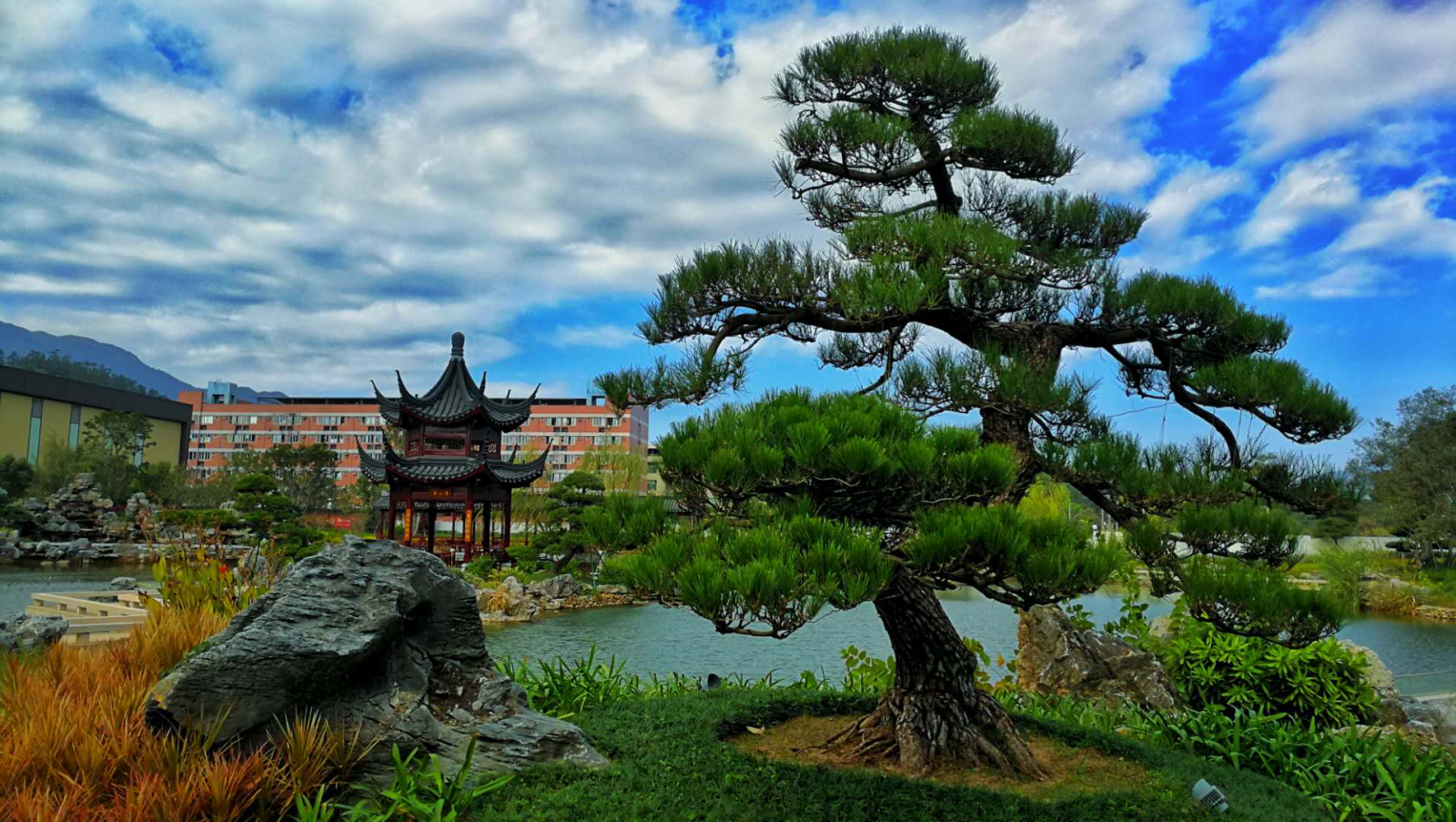 腾博会官网 - 诚信为本,专业服务!