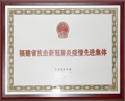 福建省抗击新冠肺炎先进整体